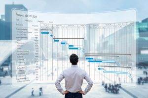 project coordinator
