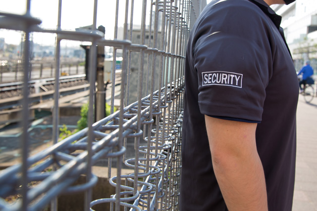 Start Work and Build Experience