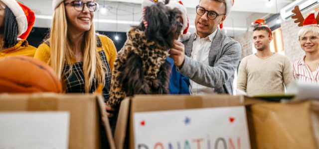 volunteer this christmas