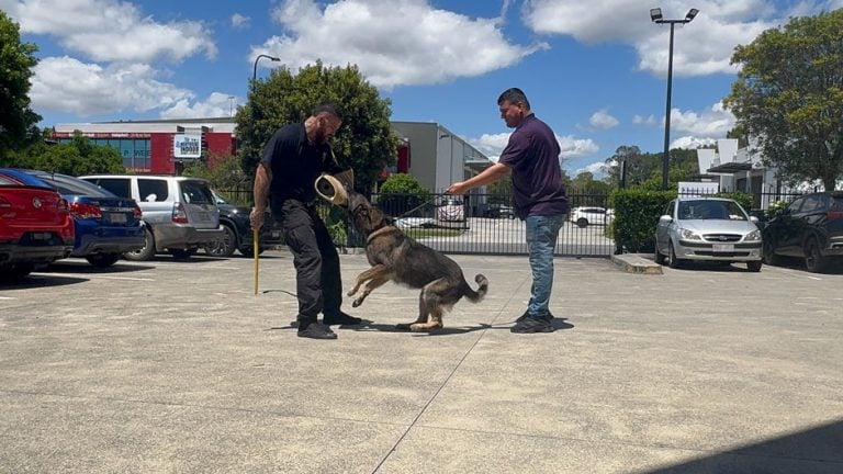 QLD Security Dog Handler Course