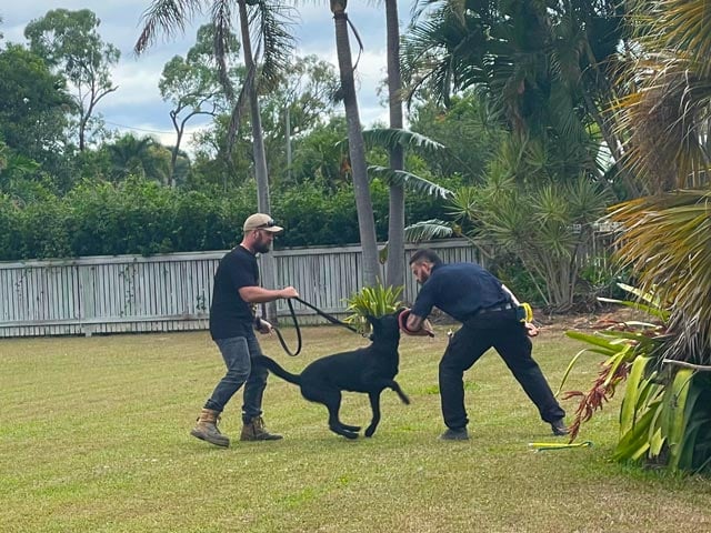 Dog handler Training Townsville