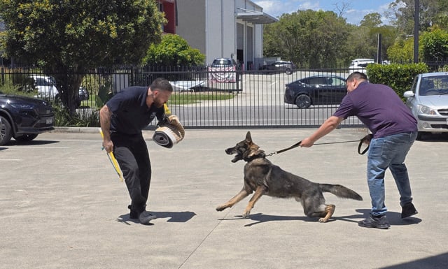 Canine Handler Training Brisbane